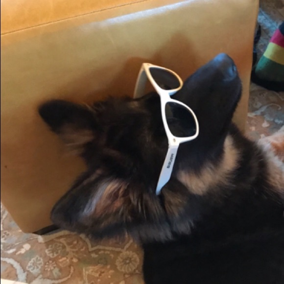 Meet your Posher, Chris - Picture 1 of 1